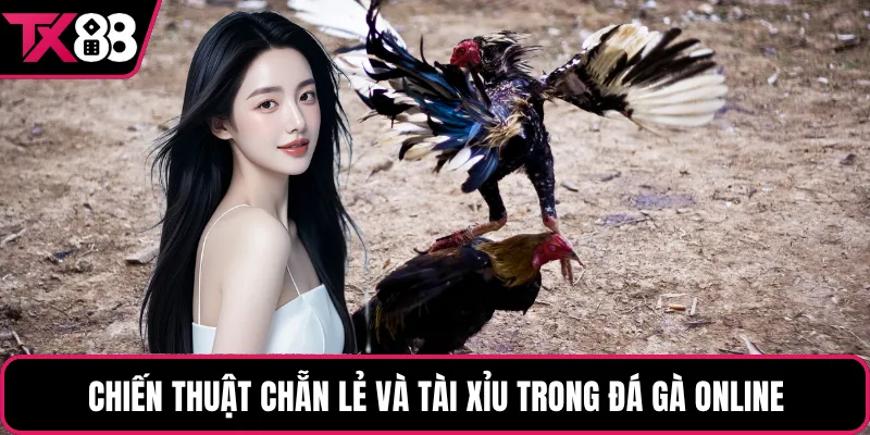 Chiến thuật chẵn lẻ và tài xỉu trong đá gà online