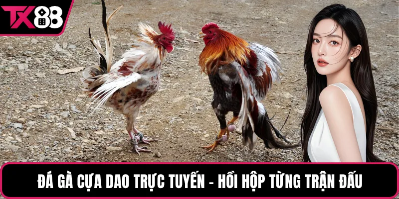 Đá gà cựa dao trực tuyến - Hồi hộp từng trận đấu