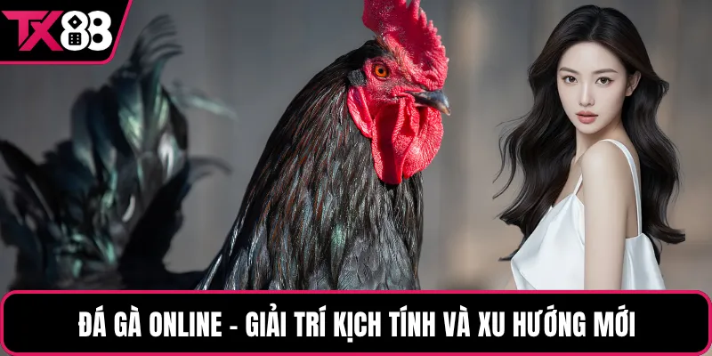 Đá gà online – Giải trí kịch tính và xu hướng mới