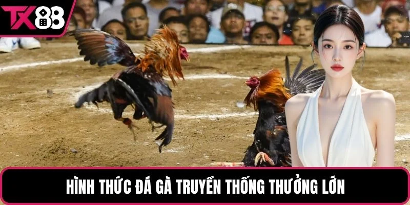 Hình thức đá gà truyền thống thưởng lớn