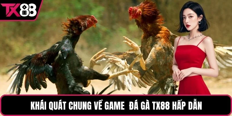 Khái quát chung về game đá gà TX88