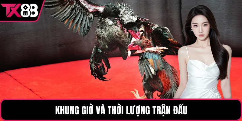 Khung giờ và thời lượng trận đấu