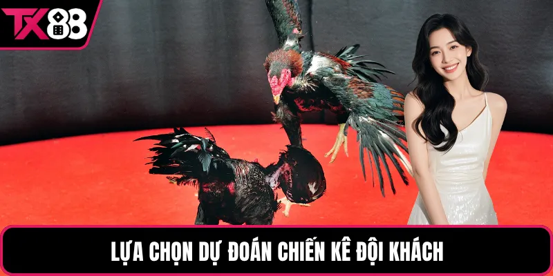 Lựa chọn dự đoán chiến kê đội khách