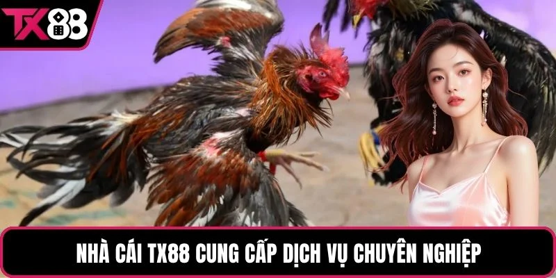 Nhà cái TX88 cung cấp dịch vụ chuyên nghiệp