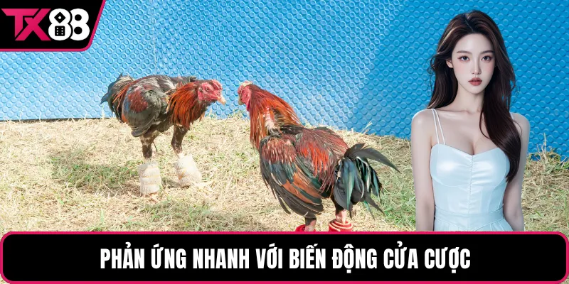 Phản ứng nhanh với biến động cửa cược