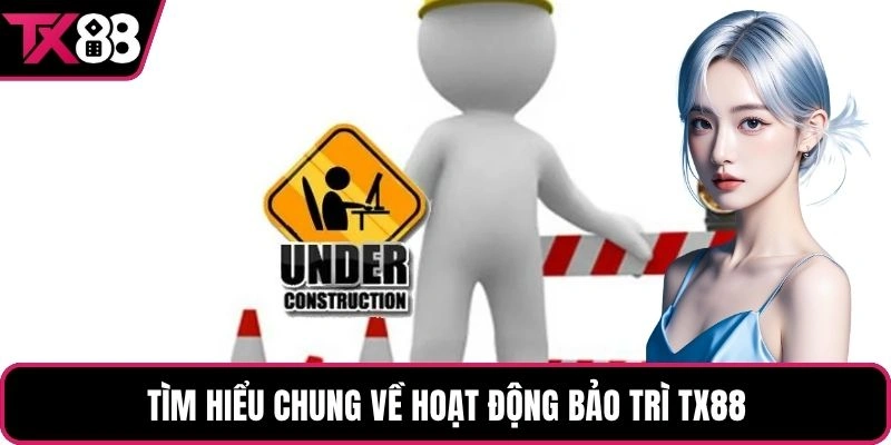Tìm hiểu chung về hoạt động bảo trì TX88